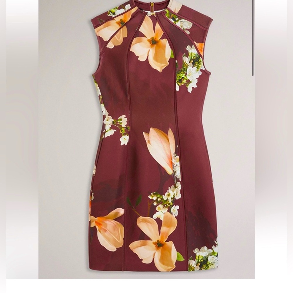 Ted Baker London Zassha Floral Sheath Dress Size 6 (12/14US) Brown